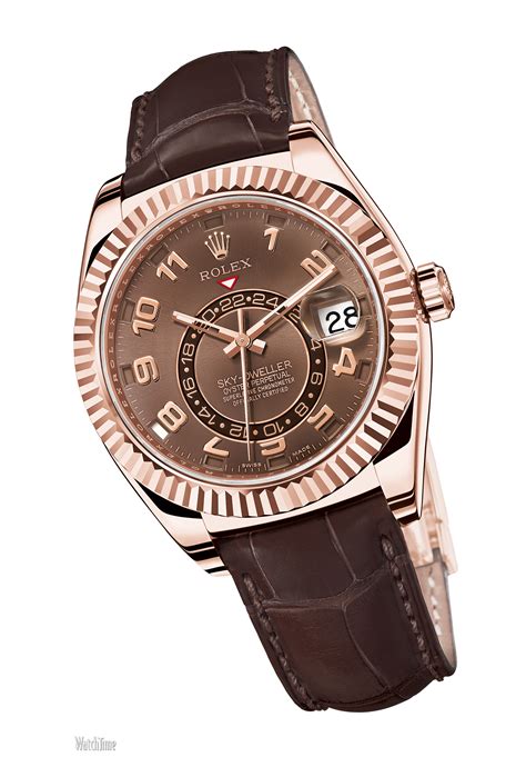 rolex sky dweller rose gold|rolex sky dweller watch price.